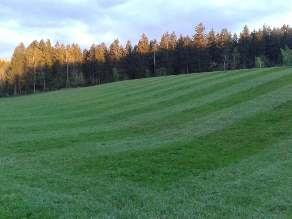 Farm Stay Rotovnik - Plesnik Slovenj Gradec Exterior photo