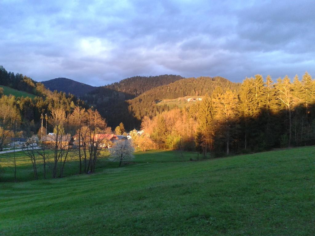 Farm Stay Rotovnik - Plesnik Slovenj Gradec Exterior photo