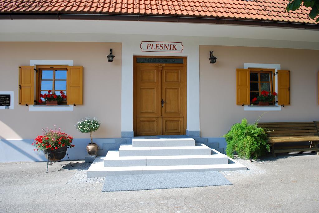 Farm Stay Rotovnik - Plesnik Slovenj Gradec Exterior photo